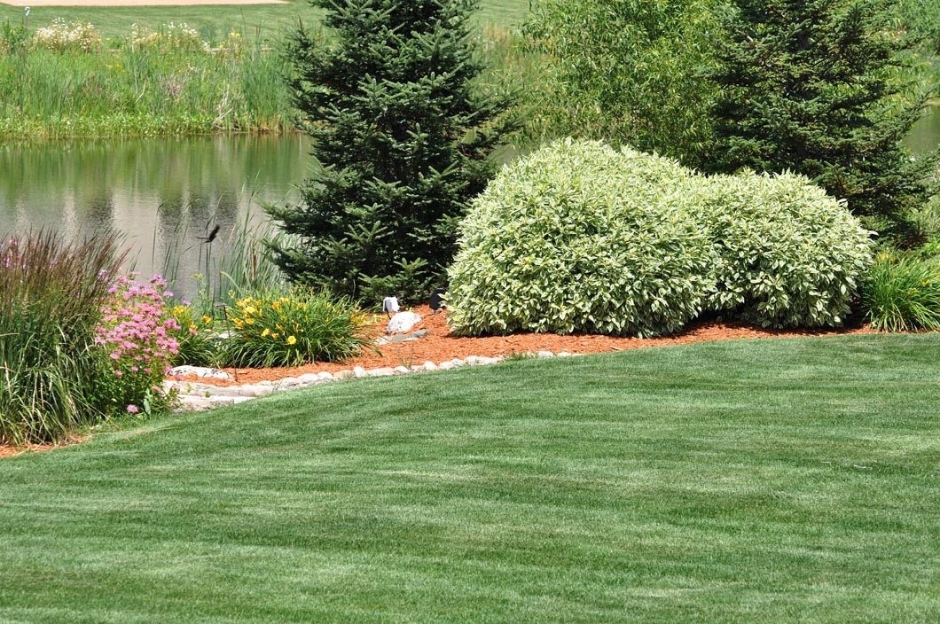 Mystic Landscaping LLC logo